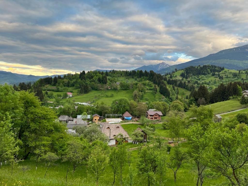Villa La Bujda Lu Mosu à Borşa Extérieur photo