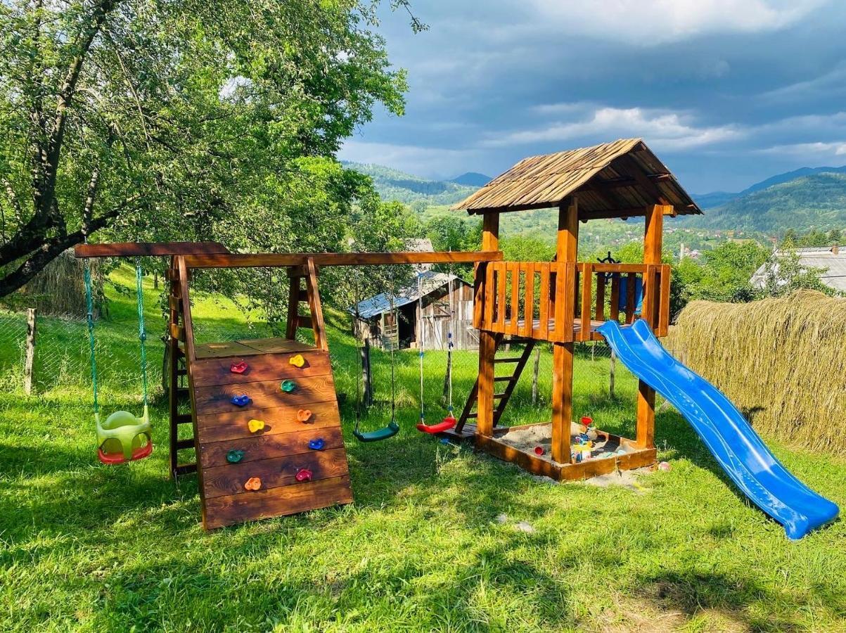 Villa La Bujda Lu Mosu à Borşa Extérieur photo