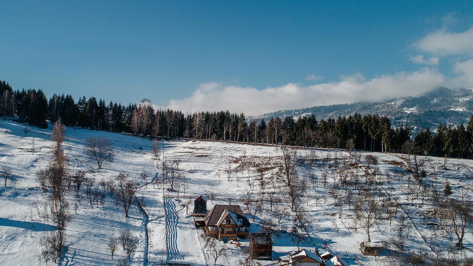 Villa La Bujda Lu Mosu à Borşa Extérieur photo