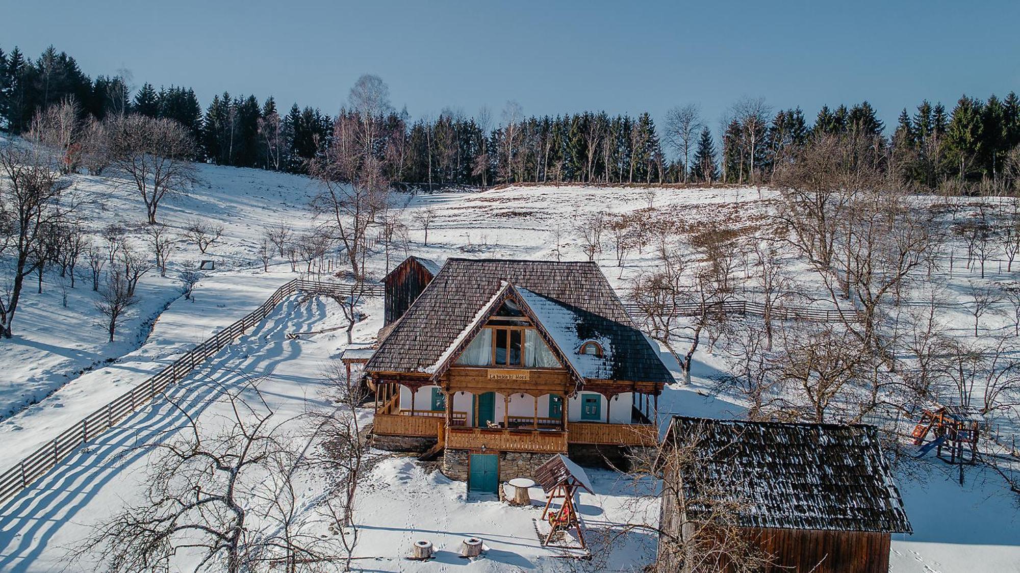 Villa La Bujda Lu Mosu à Borşa Extérieur photo